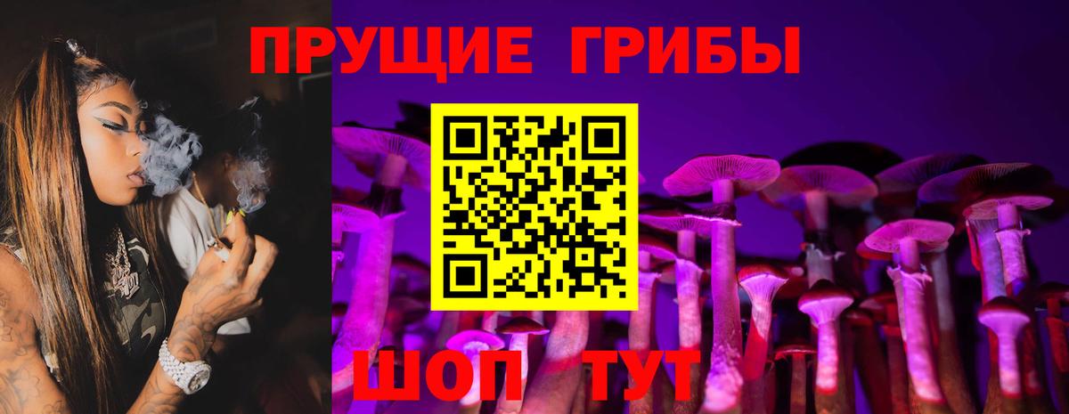 Галлюциногенные грибы прущие грибы Калуга